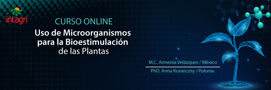Uso de Microorganismos para la Bioestimulación de las Plantas
