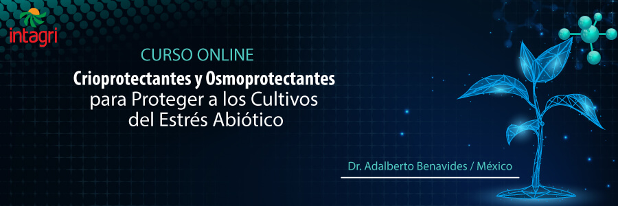 Uso de Microorganismos para la Bioestimulación de las Plantas