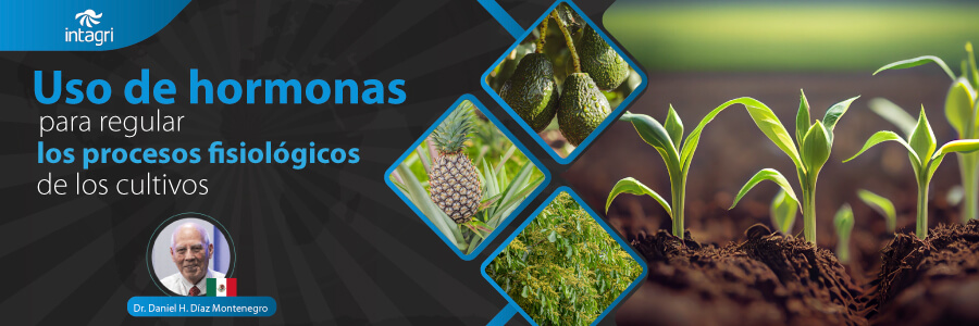 estres vegetal