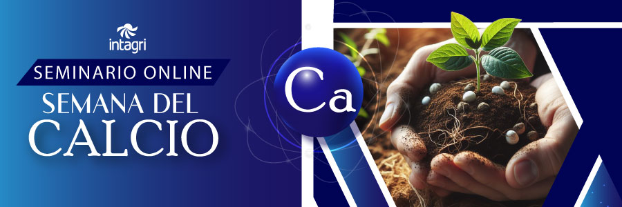 Seminario de Calcio