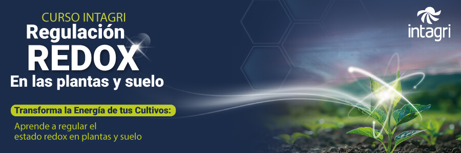 Medición e interpretación del Potencial REDOX en agua, suelo y planta