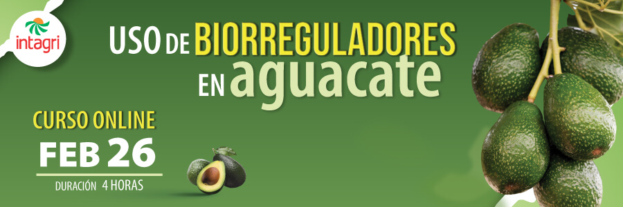 Curso Uso de Biorreguladores en Aguacate
