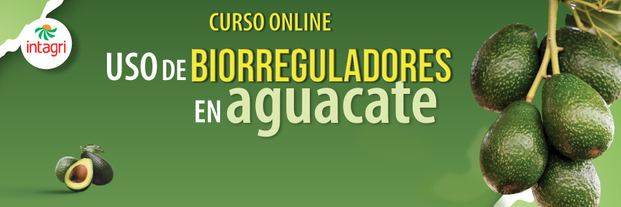 Curso Uso de Biorreguladores en Aguacate