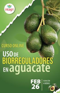 Curso Online: Uso de Biorreguladores en Aguacate