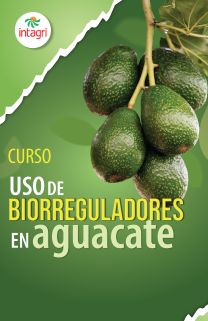 Curso Virtual Uso de Biorreguladores en Aguacate