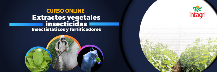 Curso Online Intagri Extractos Vegetales Insecticidas, Insectistáticos y Fortificadores