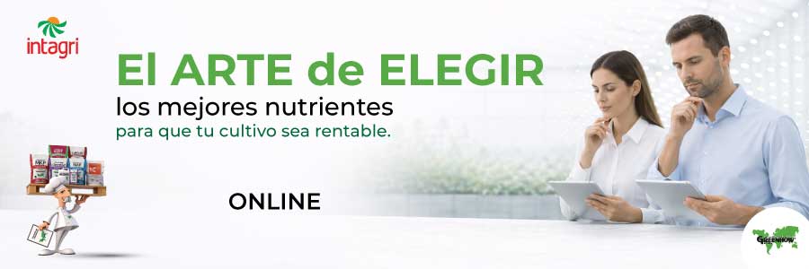 Curso Online El Arte de Elegir los Mejores Nutrientes para que tu cultivo sea RENTABLE
