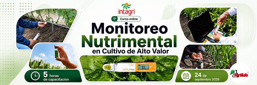 Curso Online Intagri Monitoreo Nutrimental en Cultivo de Alto Valor