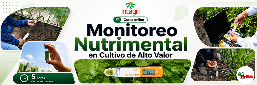 Curso Online Intagri Monitoreo Nutrimental en Cultivo de Alto Valor