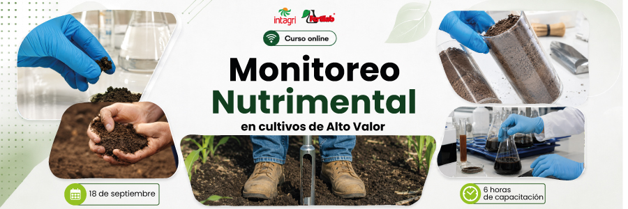 Curso Online Intagri Monitoreo Nutrimental en Cultivo de Alto Valor