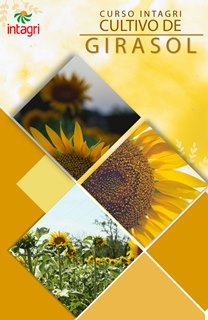 Curso Virtual de Cultivo de Girasol - Información | Intagri .