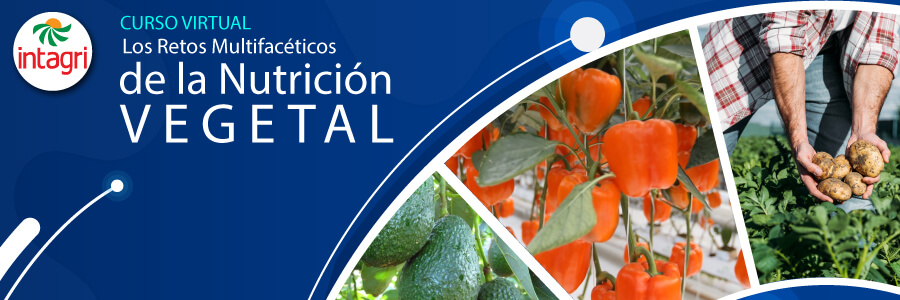 Los retos multifacéticos de la Nutrición Vegetal