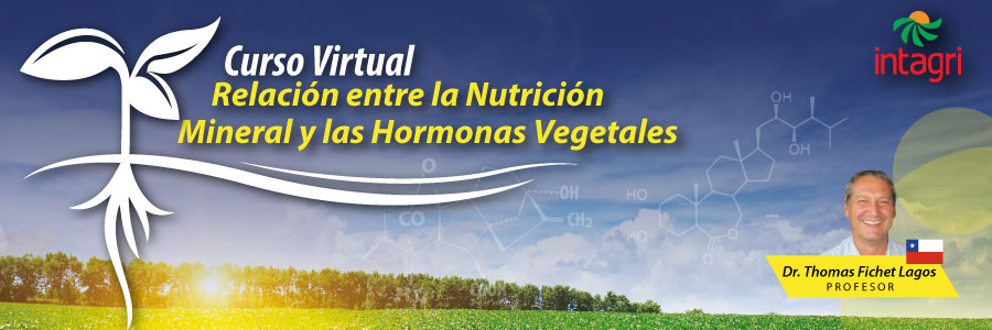 curso sobre la relación entre nutrición mineral y las hormonas
