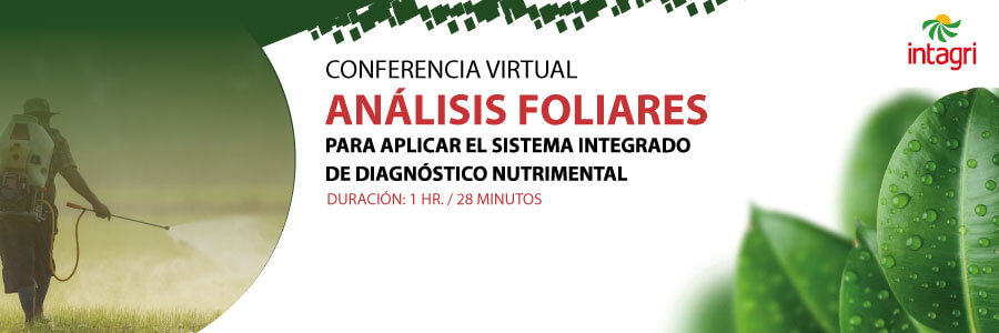 conferencia-analisis-foliares-para-aplicar-el-sistema-integrado-de-diagnostico