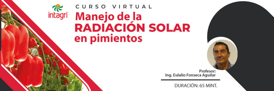 Curso de manejo de la radicación solar en pimientos