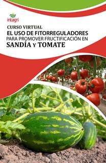 Curso Virtual El uso de fitorreguladores para promover fructificación en sandía y tomate