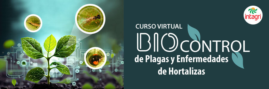 Biocontrol de Plagas y Enfermedades