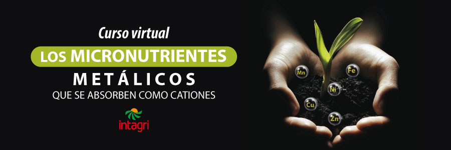 los micronutrientes