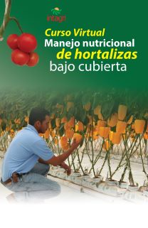 Curso virtual: Manejo Nutricional de Hortalizas Bajo Cubierta
