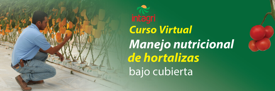 Manejo nutricional de hortalizas