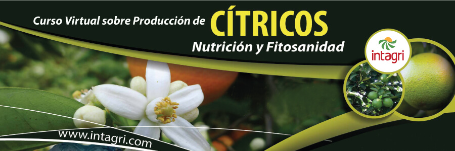 curso virtual sobre produccion de citricos