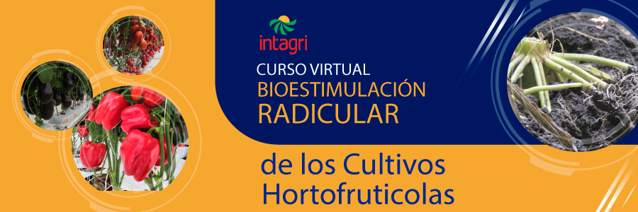 Curso de Bioestimulación Radical de los Cultivos 