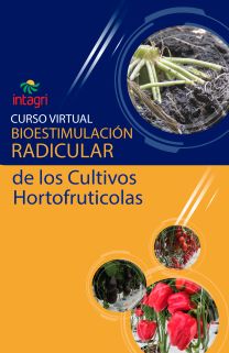 Curso Virtual: Bioestimulación Radicular de los Cultivos Hortofruticolas