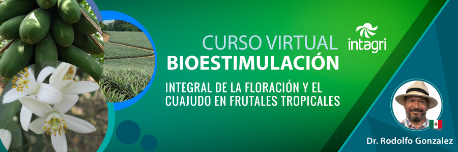 bioestimulacion