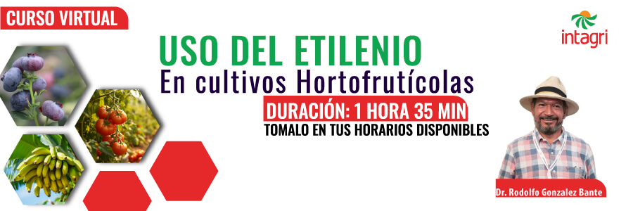 uso de etileno