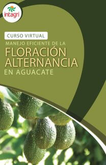 Curso Virtual Manejo Eficiente de la Floración y la Alternancia en Aguacate