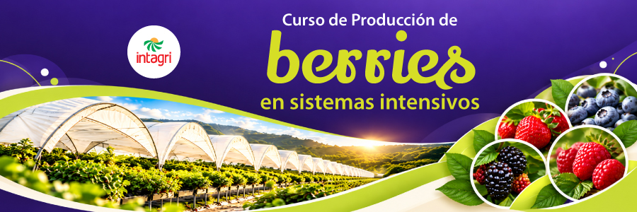 Curso Virtual  Producción de Berries en Sistemas Intensivos 
