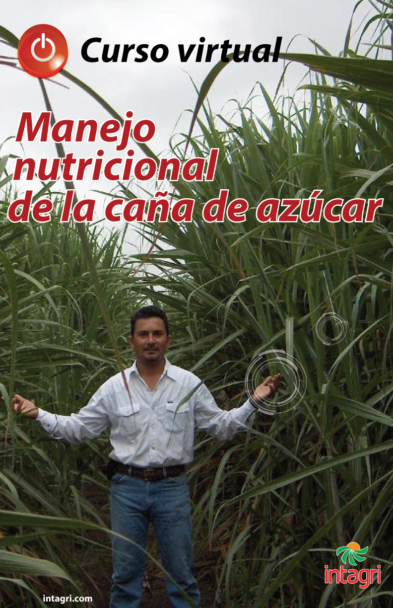 Curso virtual: Manejo Nutricional de la Caña de Azúcar