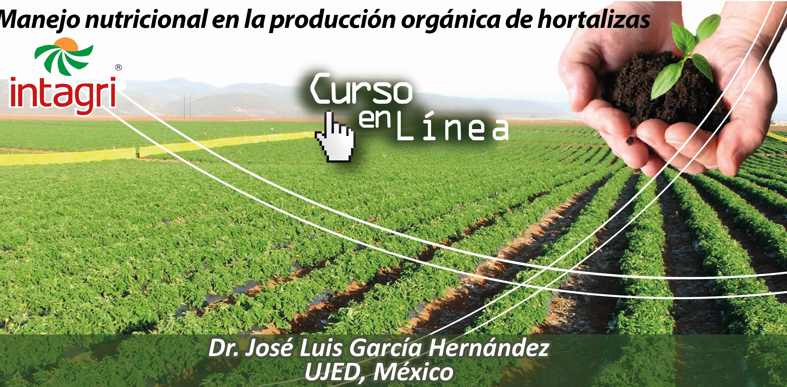 producción orgánica de hortalizas