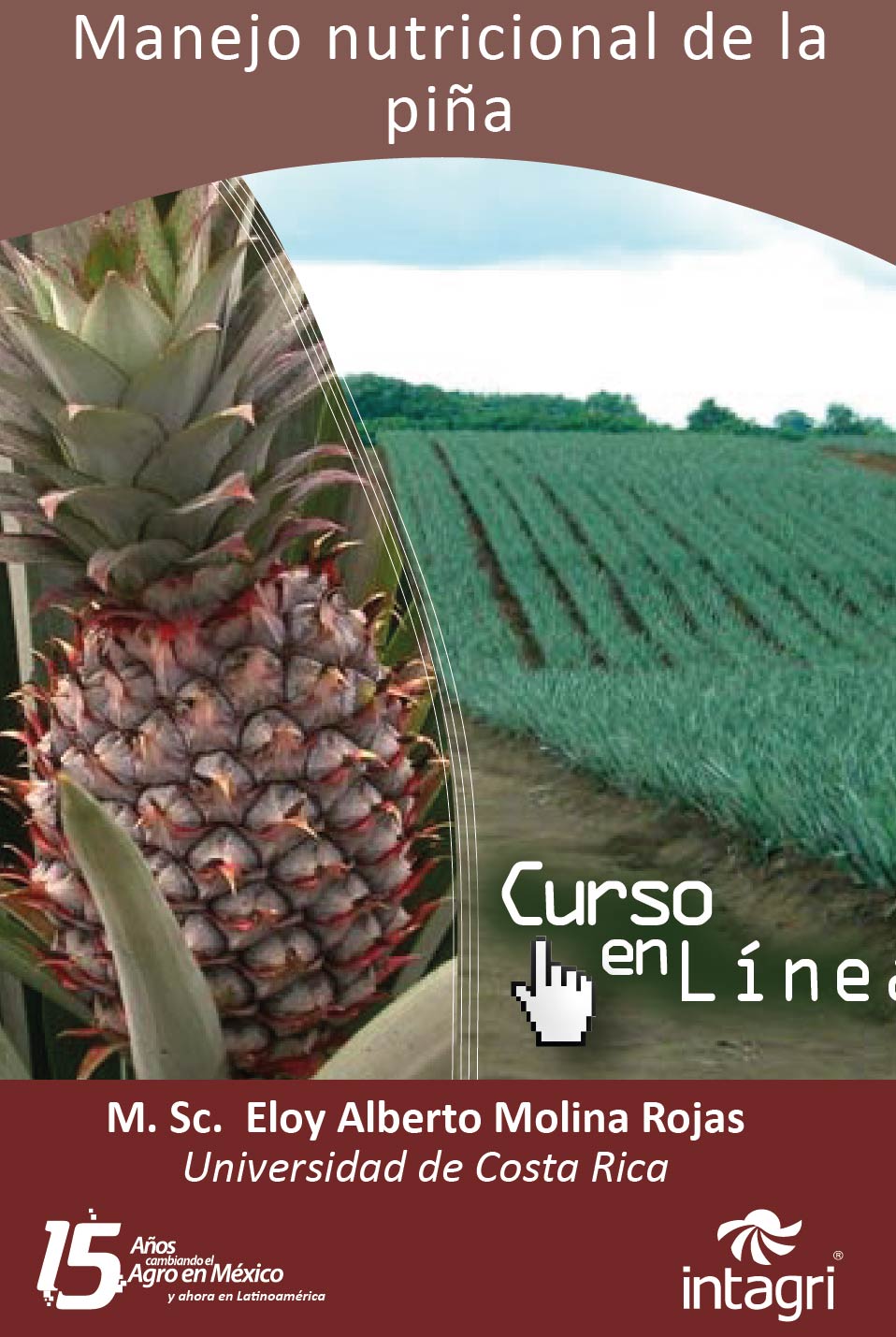 Curso virtual: Manejo y Nutrición del Cultivo de la Piña - Programa ...