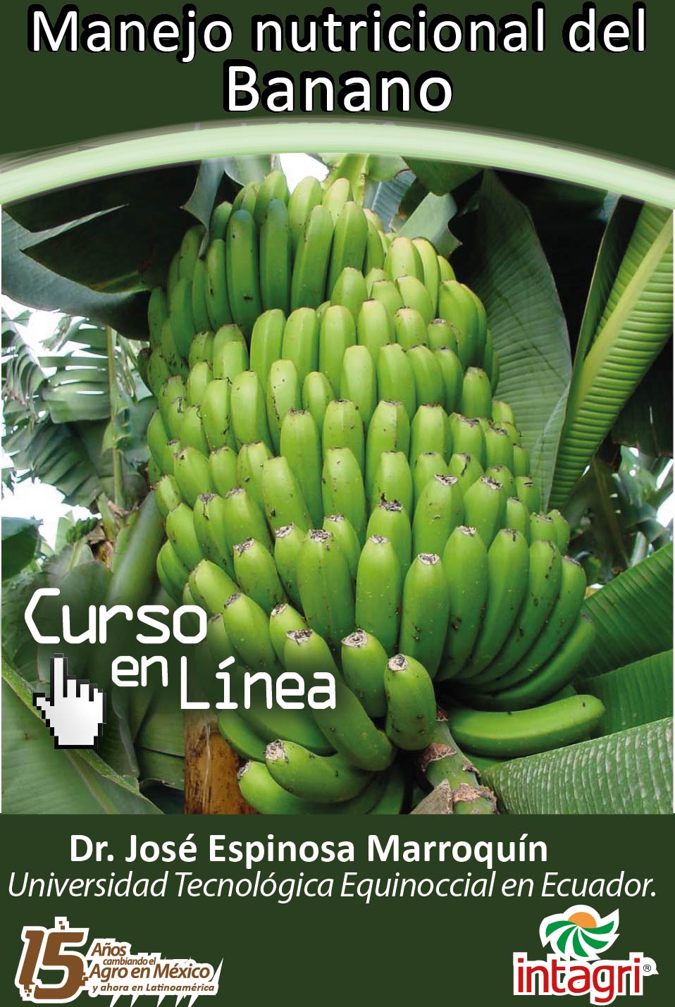 Curso virtual: Manejo de la Nutrición y Fertilización del Banano