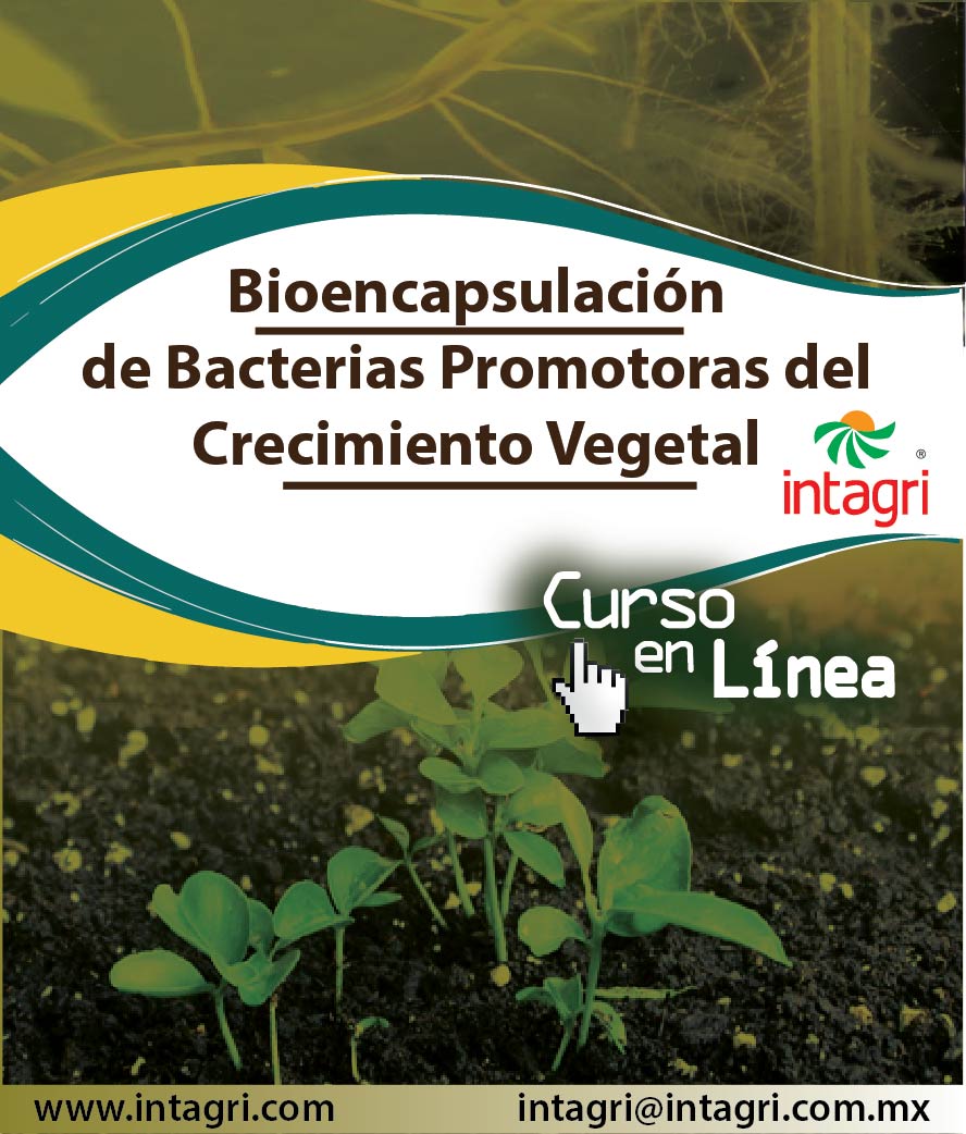 Curso virtual: Bioencapsulación de Bacterias Promotoras del Crecimiento Vegetal