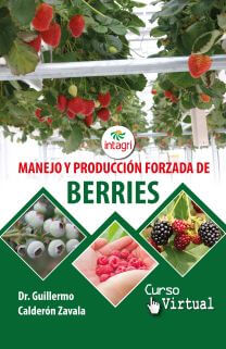Curso Virtual: Manejo y Producción Forzada de Berries