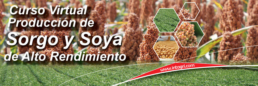 curso de soya y sorgo