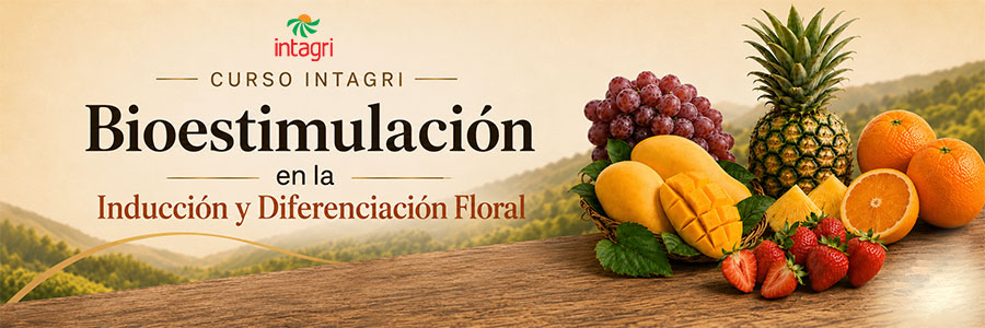 Curso INTAGRI de Bioestimulación en la Inducción y Diferenciación Floral 