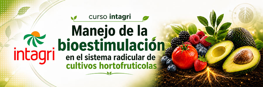Curso INTAGRI Manejo de la Bioestimulación del Sistema Radicular de cultivos Hortofrutícolas