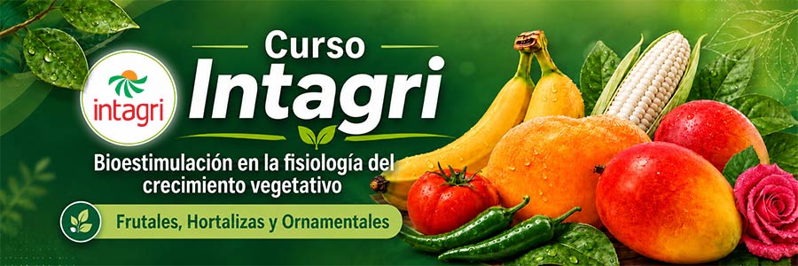 Curso INTAGRI Bioestimulación en la fisiología del crecimiento vegetativo