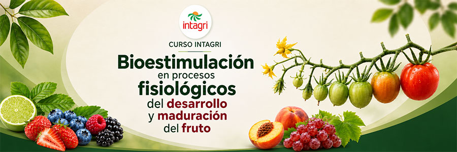 Curso INTAGRI de Bioestimulación en la Inducción y Diferenciación Floral 