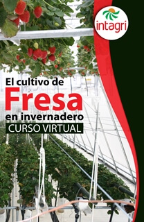 Curso virtual: El Cultivo de Fresa en Invernadero