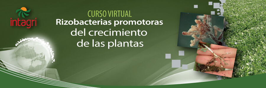 Curso virtual sobre rizobacterias