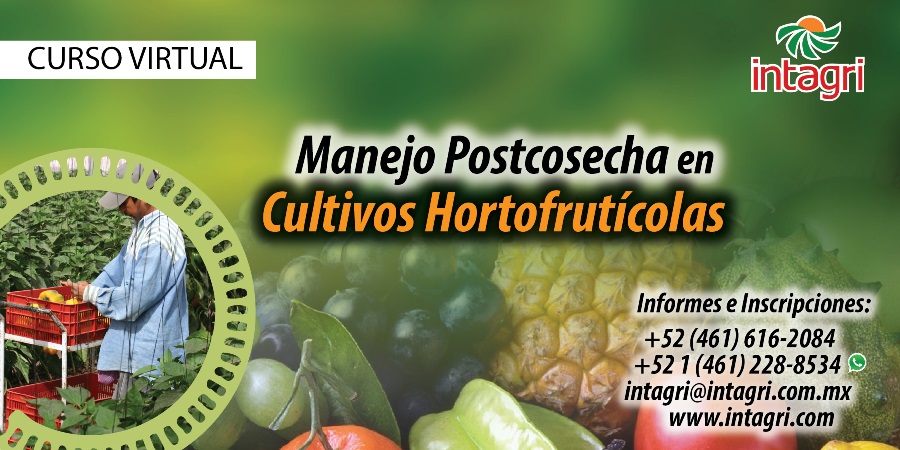 Manejo de postcosecha en cultivos hortofruticolas