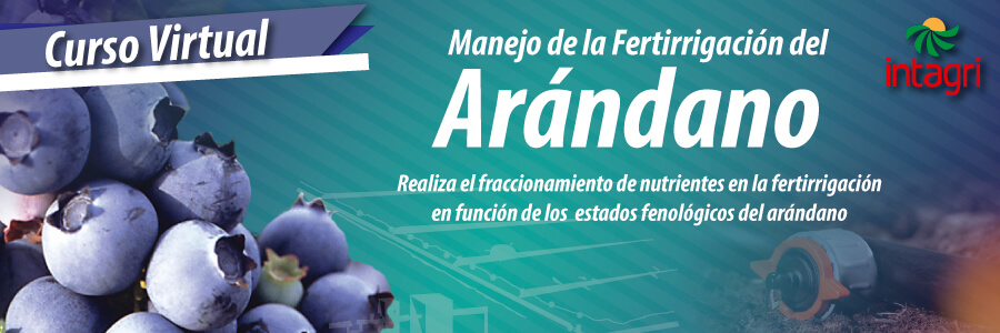 Fertirrigacion de Arandano