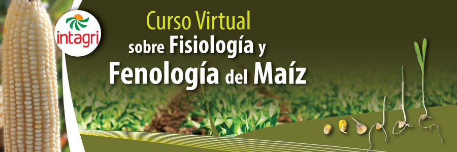 Fisiologia