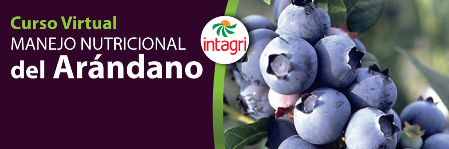 Curso INTAGRI de monitoreo