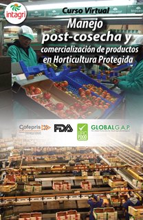 Curso virtual: Manejo Post Cosecha y Comercialización de Productos en Horticultura Protegida