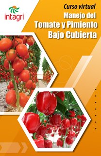Curso virtual: Manejo del Tomate y Pimiento Bajo Cubierta